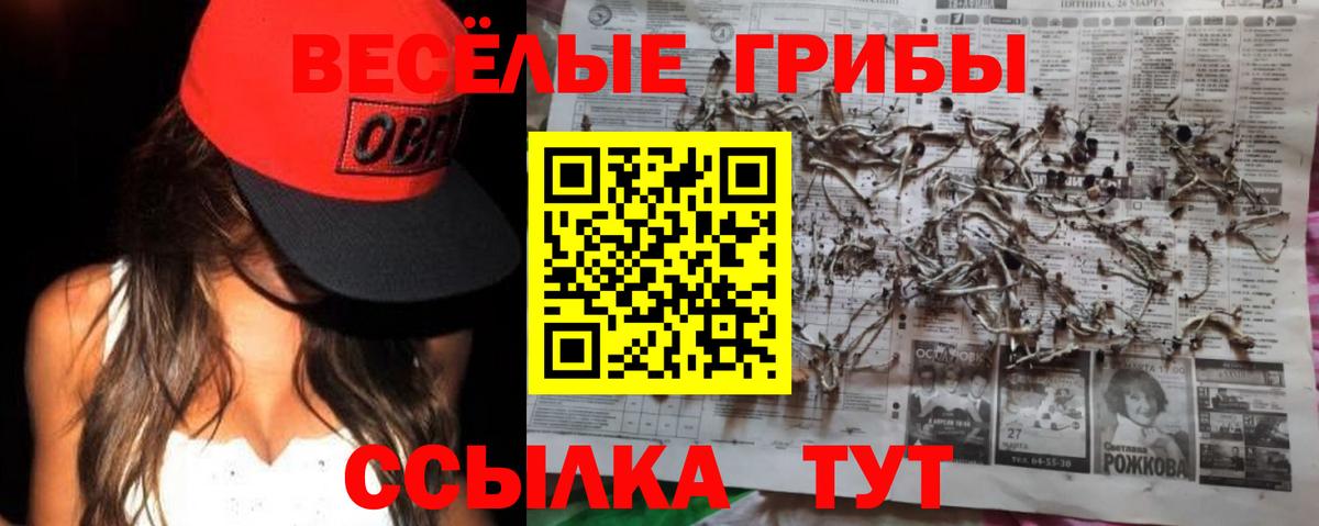 Псилоцибиновые грибы Cubensis Клинцы