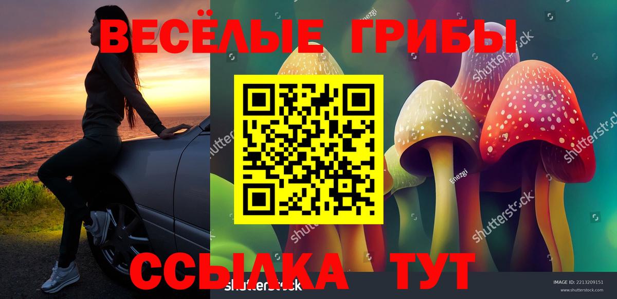 Галлюциногенные грибы ЛСД  Псилоцибиновые грибы ЛСД  Вход с VPN  Клинцы 